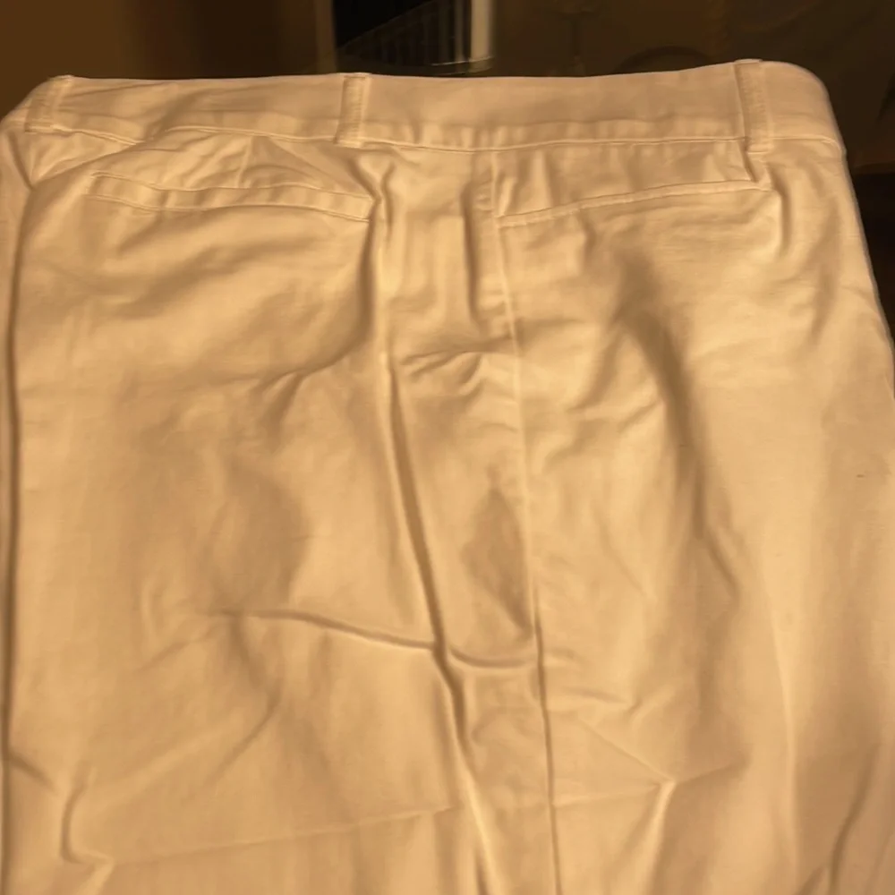 Counterparts Capris - Picture 2 of 3